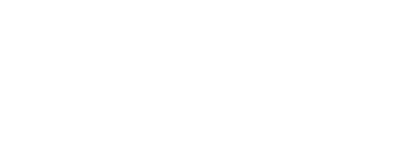 FYLSA